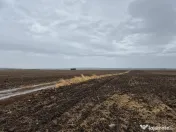 Metro Ploiesti - Paulesti, vanzare teren 39.144mp. 