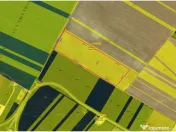 Metro Ploiesti - Paulesti, vanzare teren 39.144mp. 