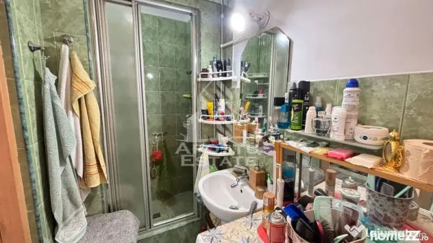 Apartament cu 2 camere de vanzare in zona Badea Cartan, Timisoara - Timisoara (Timis)