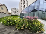 Spațiu servicii educationale de inchiriat 