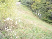 Busteni-Teren de vanzare cu o panorama superba 