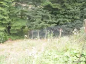 Busteni-Teren de vanzare cu o panorama superba 