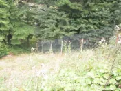 Busteni-Teren de vanzare cu o panorama superba 