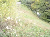 Busteni-Teren de vanzare cu o panorama superba 