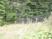 Busteni-Teren de vanzare cu o panorama superba 