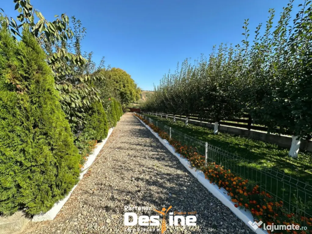 Proprietate 12.000 mp în Tătărusi, sat Uda – Bucovina M