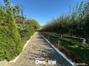 Proprietate 12.000 mp în Tătărusi, sat Uda – Bucovina M 