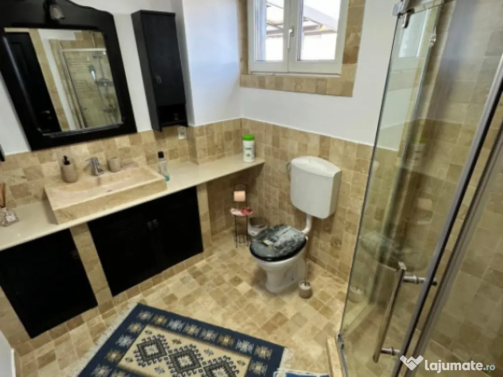 Proprietate 12.000 mp în Tătărusi, sat Uda – Bucovina M