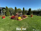 Proprietate 12.000 mp în Tătărusi, sat Uda – Bucovina M 