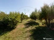 Casa visurilor cu livada roditoare si gradina amenajata Darm 