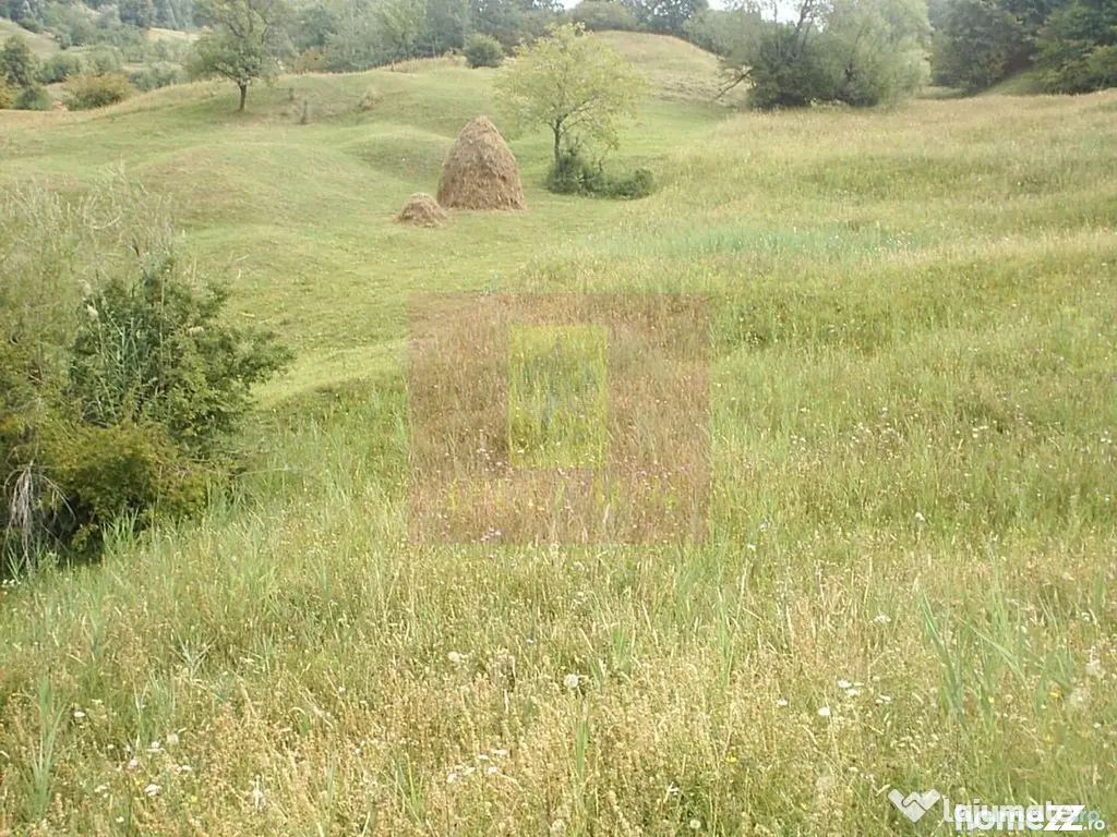 Teren extravilan de vanzare in Telega - Telega (Prahova)