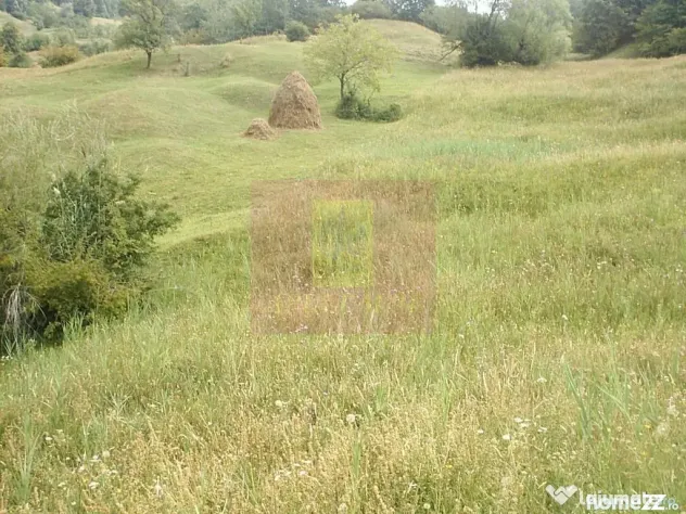 Teren extravilan de vanzare in Telega - Telega (Prahova)