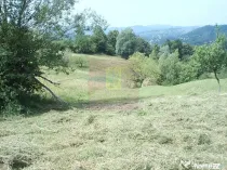 Teren extravilan de vanzare in Telega