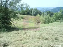 Teren extravilan de vanzare in Telega