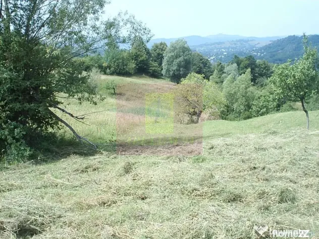 Teren extravilan de vanzare in Telega - Telega (Prahova)
