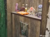 De inchiriat – Spatii de birouri in Micro 16, Galati 