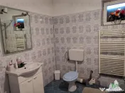 Vila cu etaj in Adunatii Copaceni, p 1 pod garaj anexe, 