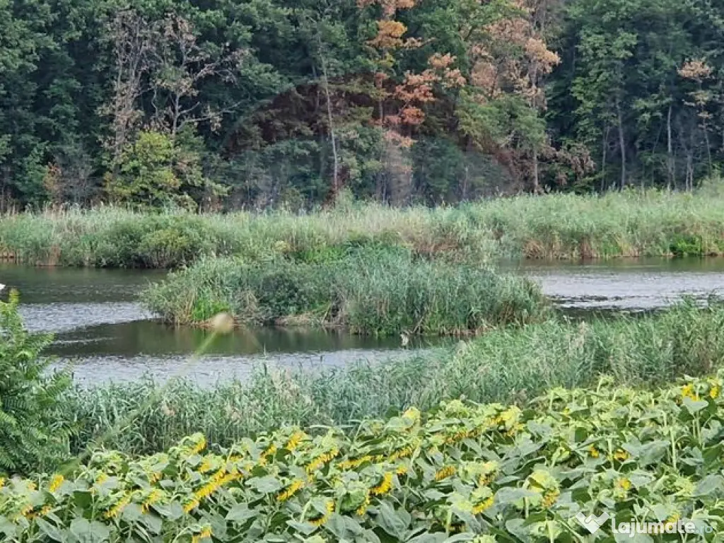 DE VANZARE Teren agricol 4500mp Moara Vlasiei