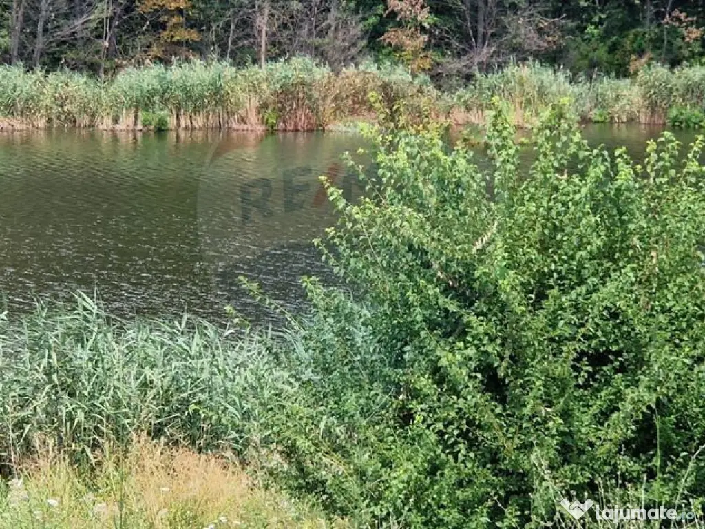 DE VANZARE Teren agricol 4500mp Moara Vlasiei