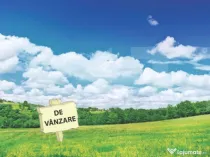 Teren 2.722 mp Moșnița Nouă – Șosea Principală