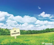 Teren 2.722 mp Moșnița Nouă – Șosea Principală