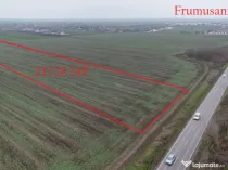 FRUMUSANI-POSTAVARI, LOT 23.728 MP!