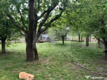 Teren intravilan + constructie, 1554 mp, Bosanci