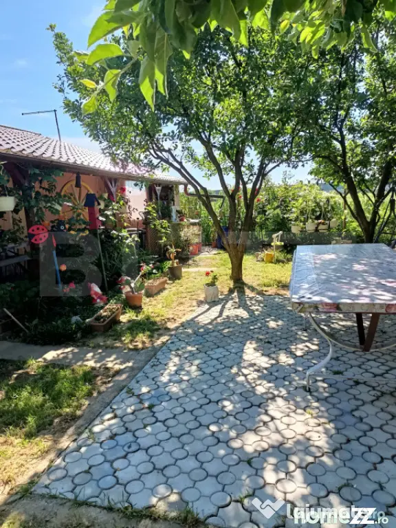 Teren 10 arii extravilan – zona Careiului - Satu Mare (Satu-Mare)