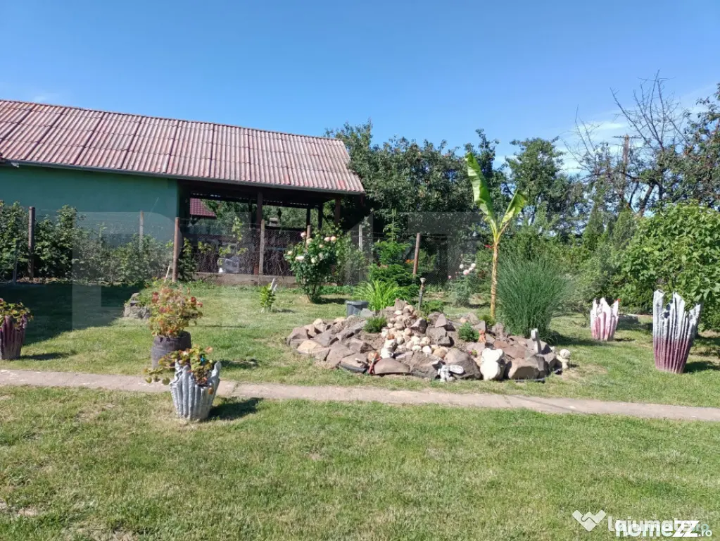 Teren 10 arii extravilan – zona Careiului - Satu Mare (Satu-Mare)