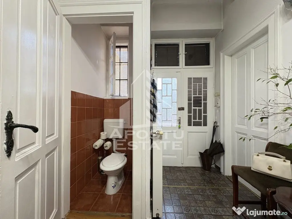 Apartament spatios, etaj intermediar, In Timisoara zona Iosefin - Timisoara (Timis)