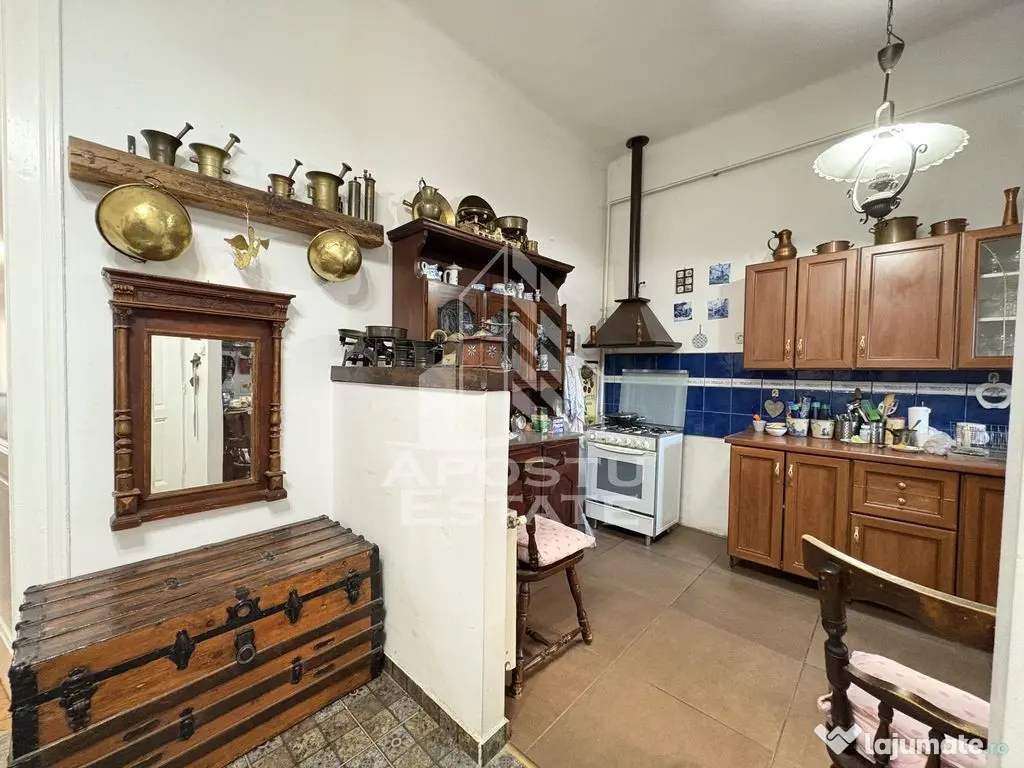 Apartament spatios, etaj intermediar, In Timisoara zona Iosefin - Timisoara (Timis)