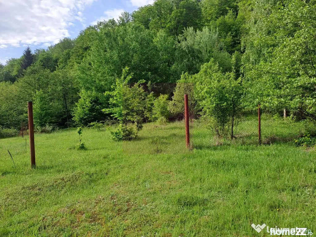 BEREVOIESTI (AG) SE VINDE TEREN 834 MP IN zona Pastravari...