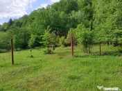 BEREVOIESTI (AG) SE VINDE TEREN 834 MP IN zona Pastravari... 