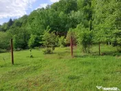 BEREVOIESTI (AG) SE VINDE TEREN 834 MP IN zona Pastravari... 