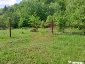 BEREVOIESTI (AG) SE VINDE TEREN 834 MP IN zona Pastravari... 