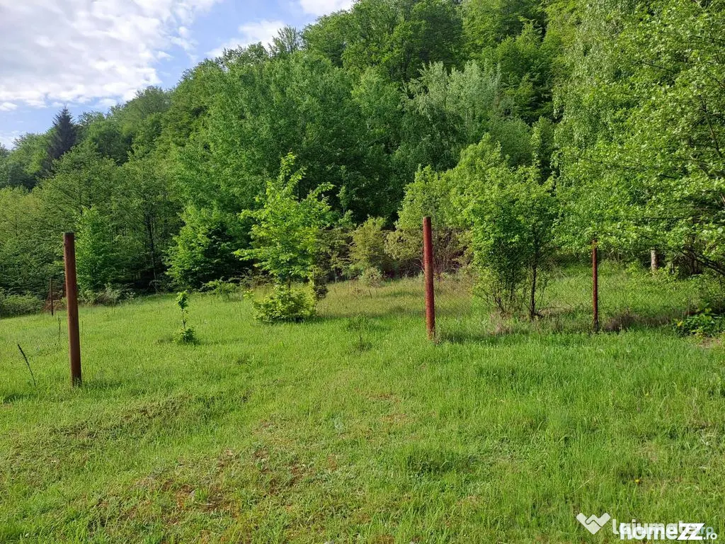Teren de vz in Berevoiesti / AG ( zona Pastravaria Rausor)