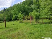 Teren de vz in Berevoiesti / AG ( zona pensiunii Perla Ra... 