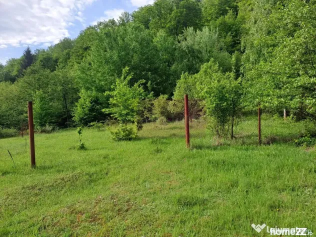 Teren de vz in Berevoiesti / AG ( zona Pastravaria Rausor)