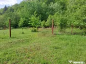 Teren de vz in Berevoiesti / AG ( zona pensiunii Perla Ra... 