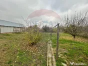 Casă de vanzare cu teren 680mp in Salonta 