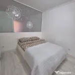 Inchiriere apartament cu doua camere in zona Piata Progresul