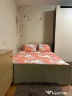 Garsoniera de inchiriat in zona Tei-Parcul Circului