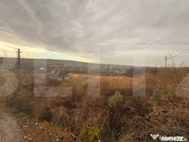 ???? Teren intravilan 3.666 mp – Buzeni / Zăicești, jud.