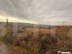 ???? Teren intravilan 3.666 mp – Buzeni / Zăicești, jud.