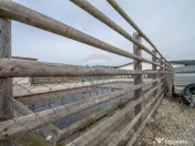 Ferma moderna de porci de vanzare in Curtuiusu Dejului 