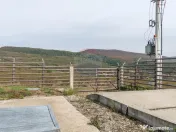 Ferma moderna de porci de vanzare in Curtuiusu Dejului 