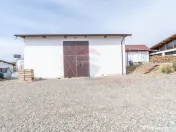 Ferma moderna de porci de vanzare in Curtuiusu Dejului 