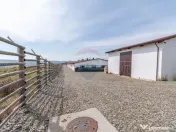 Ferma moderna de porci de vanzare in Curtuiusu Dejului 