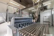 Ferma moderna de porci de vanzare in Curtuiusu Dejului 