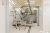 Ferma moderna de porci de vanzare in Curtuiusu Dejului 